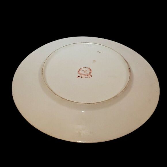 Antique Tea Cup Saucer Floral Gilded Hand Painted Porcelain Victorian MZ Austria - Picture 6 of 12